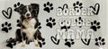 #404B Dog
