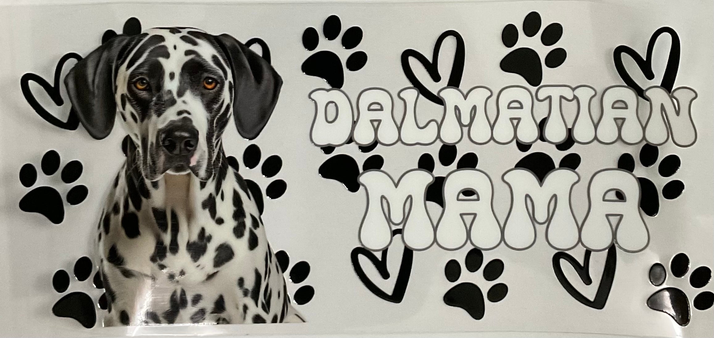 #405B Dog