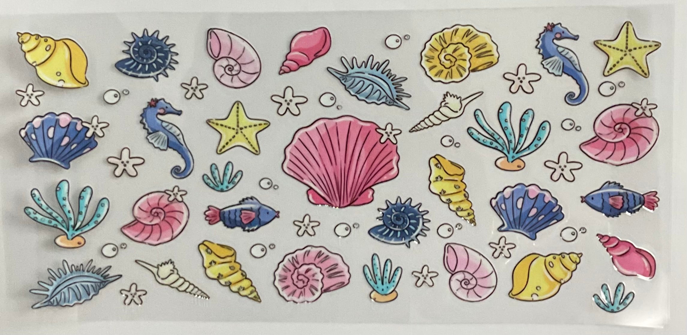 #374B sea shells