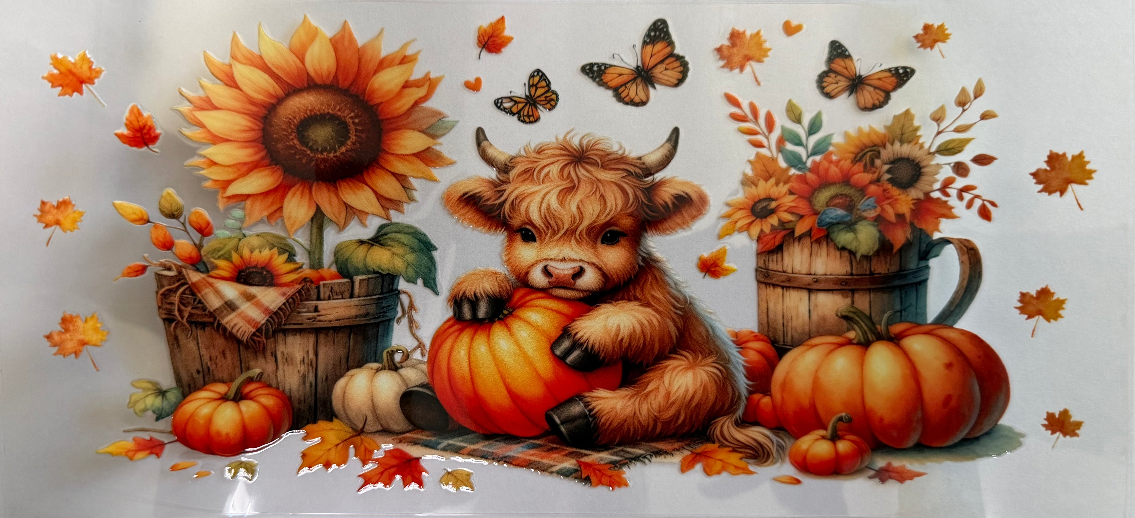 #41E Fall Vibes