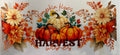 #40E Fall Vibes
