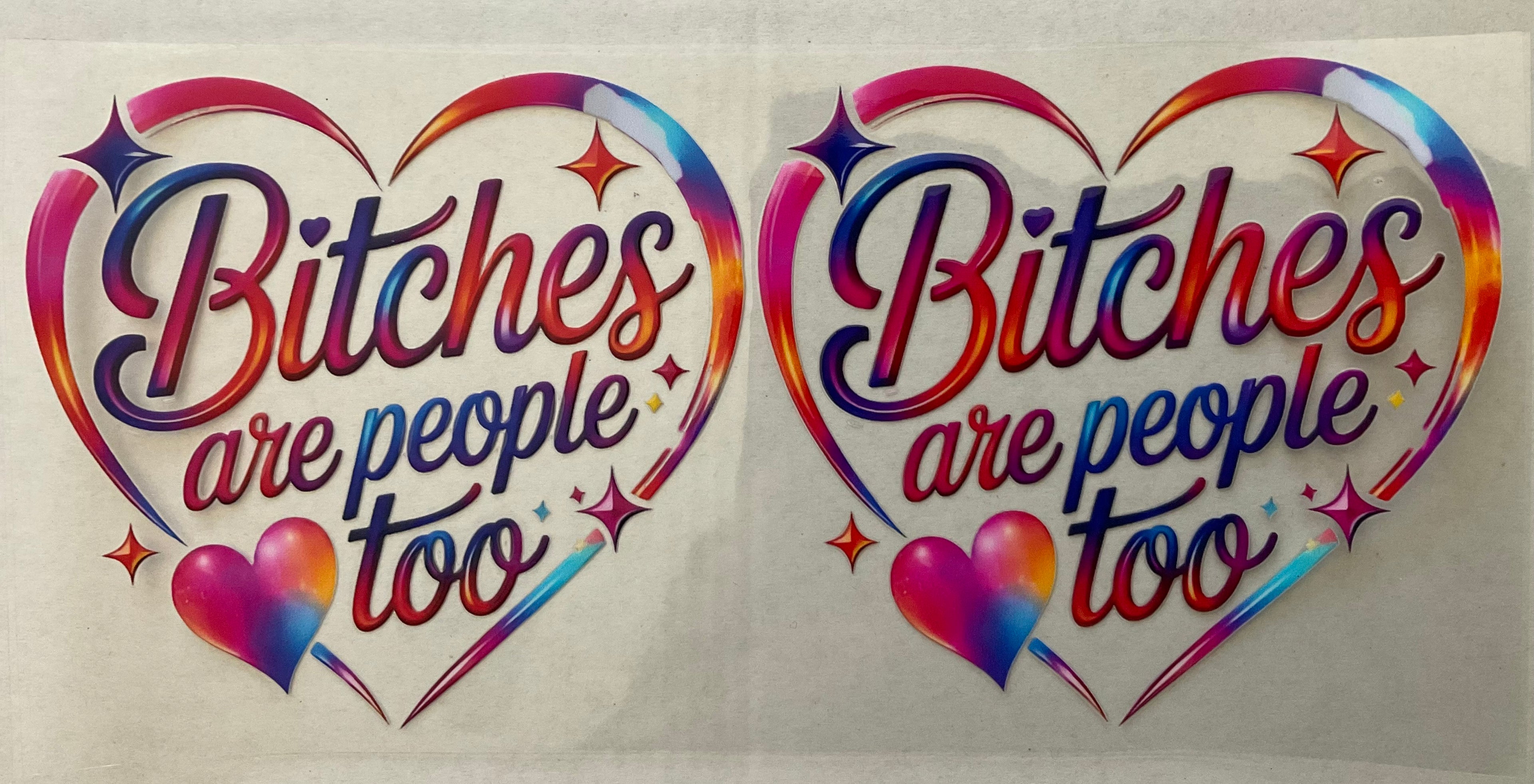 #113P B*tches Are People Too