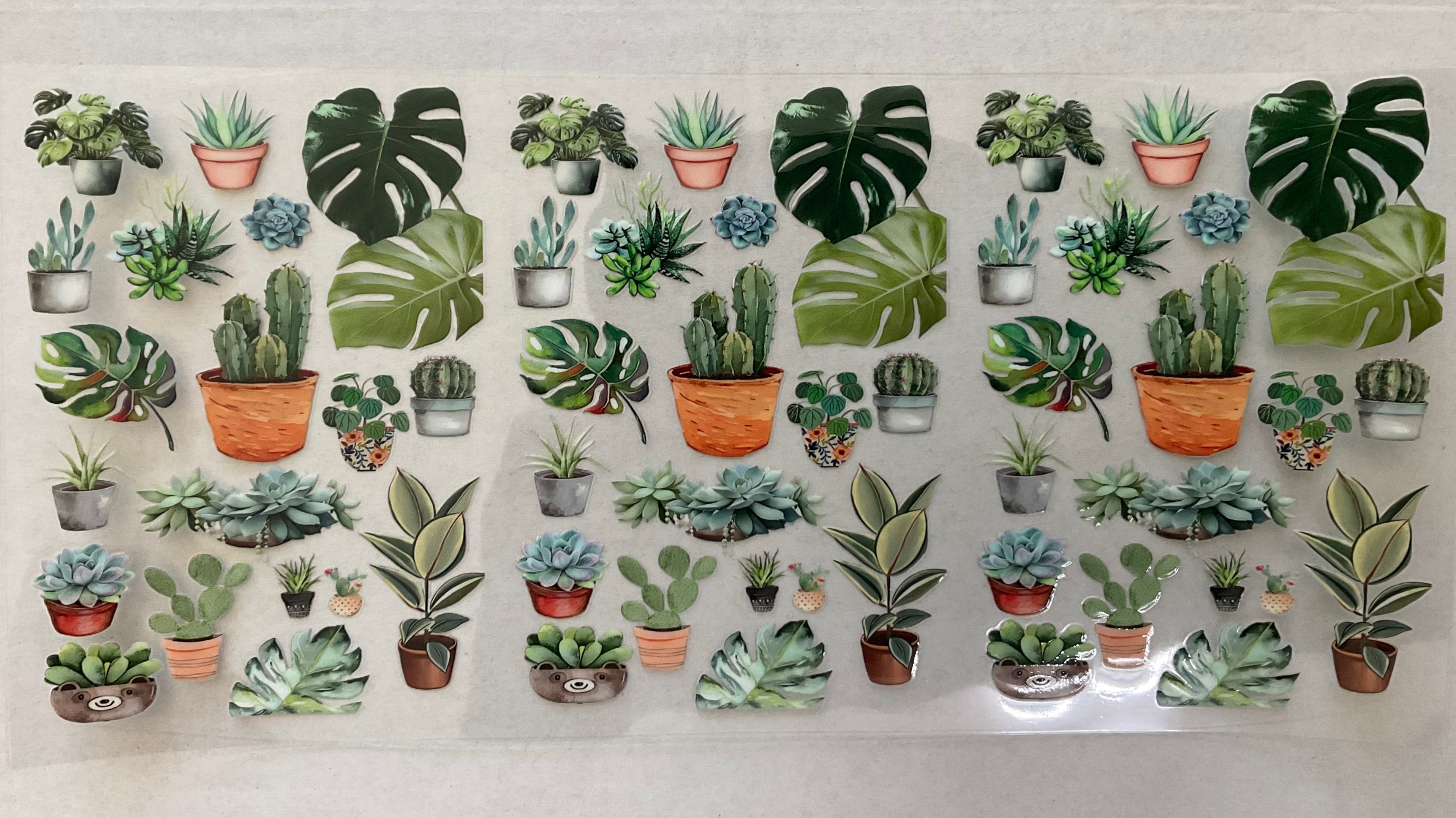 #164A Plant