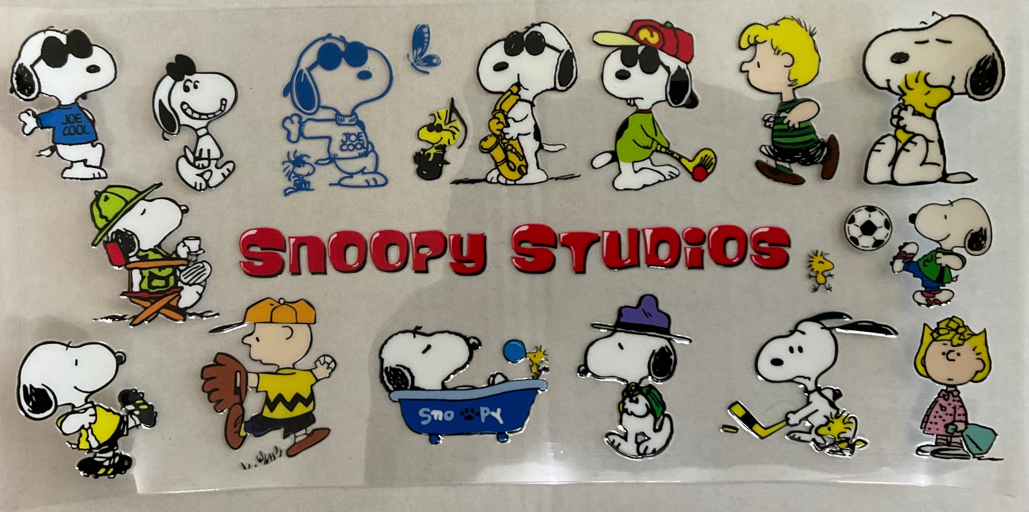 #306C  snoopy