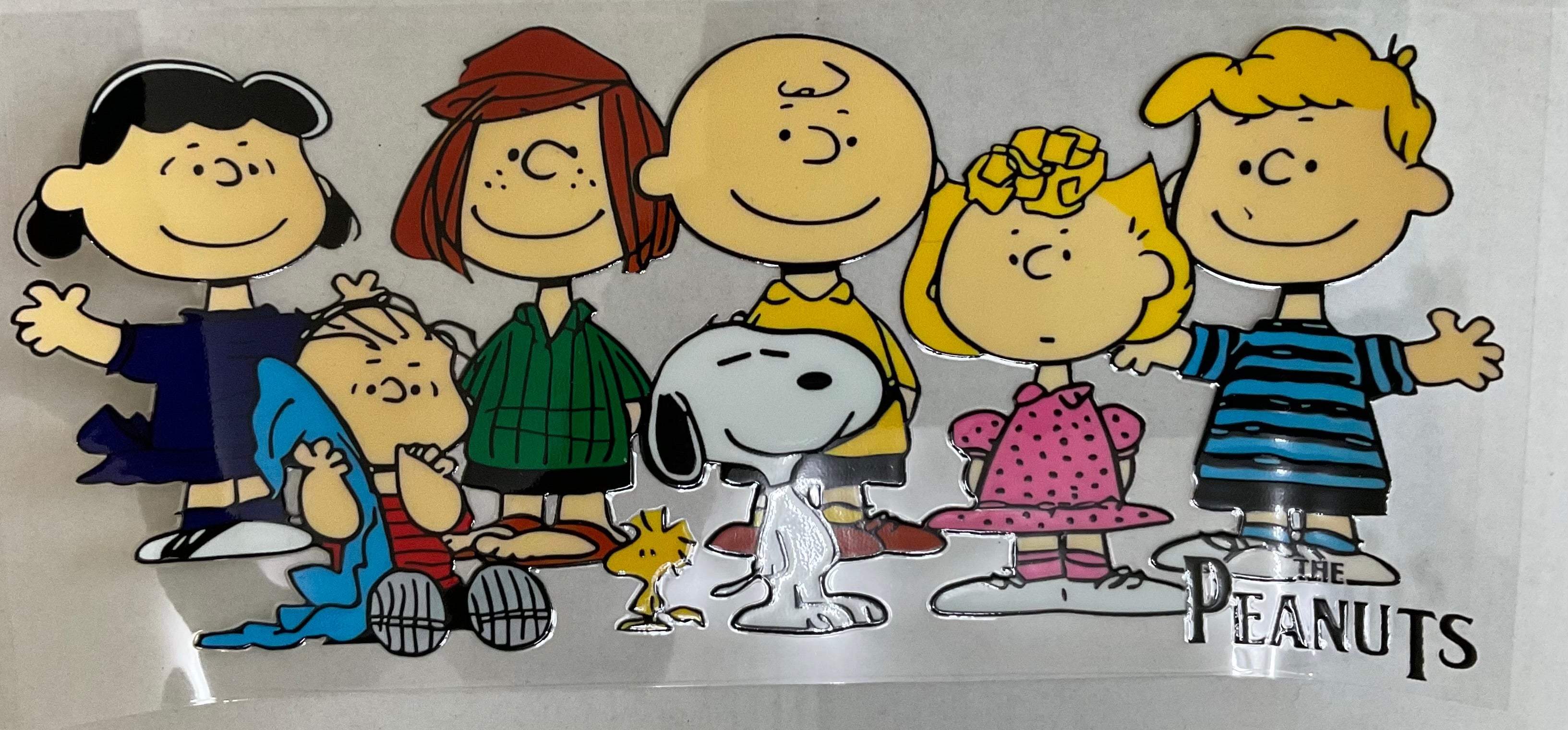 #302C  snoopy