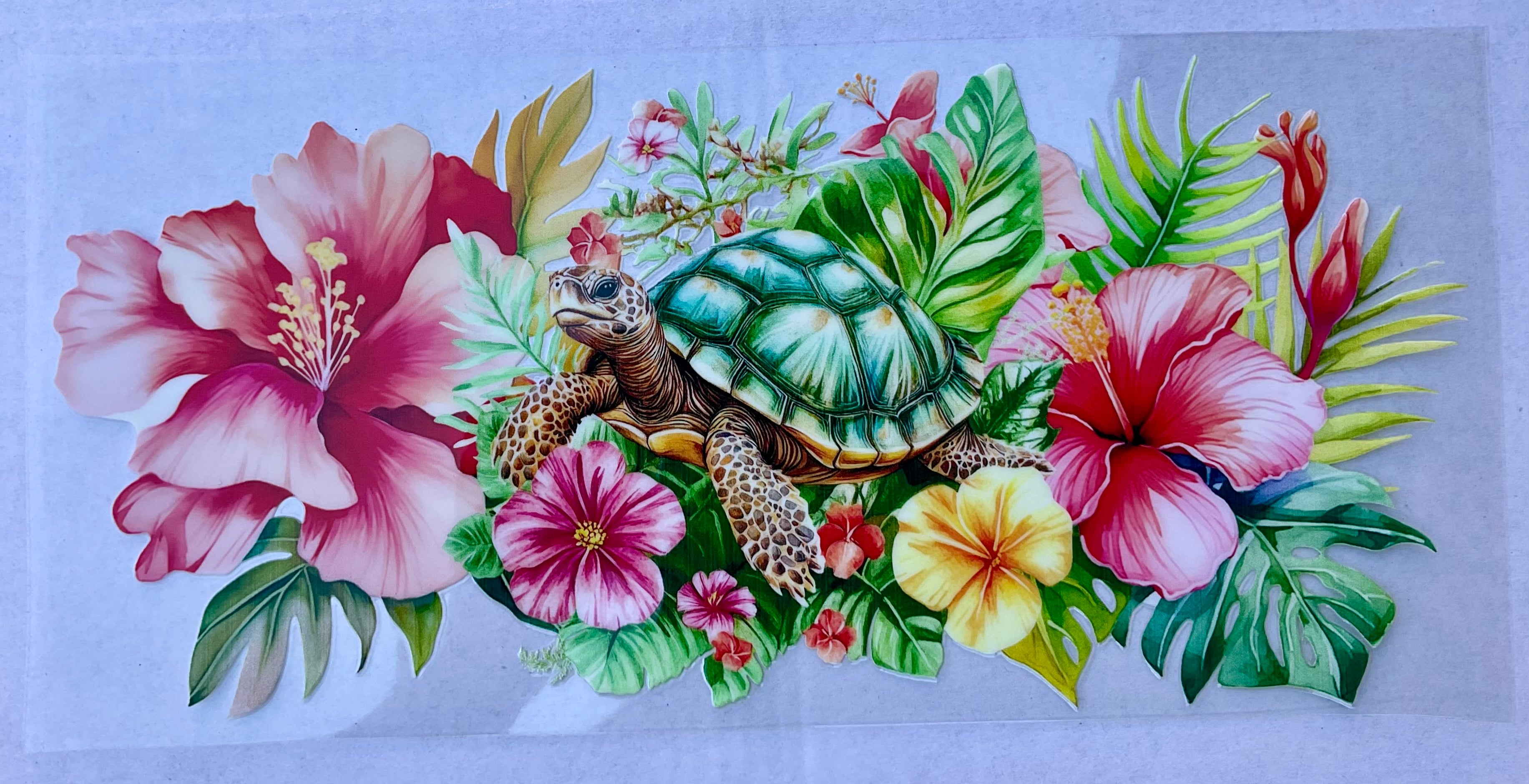 #238A Turtle