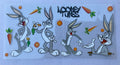 #181C Looney Tunes