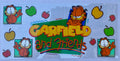 #212C Garfield