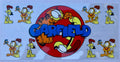 #213C Garfield