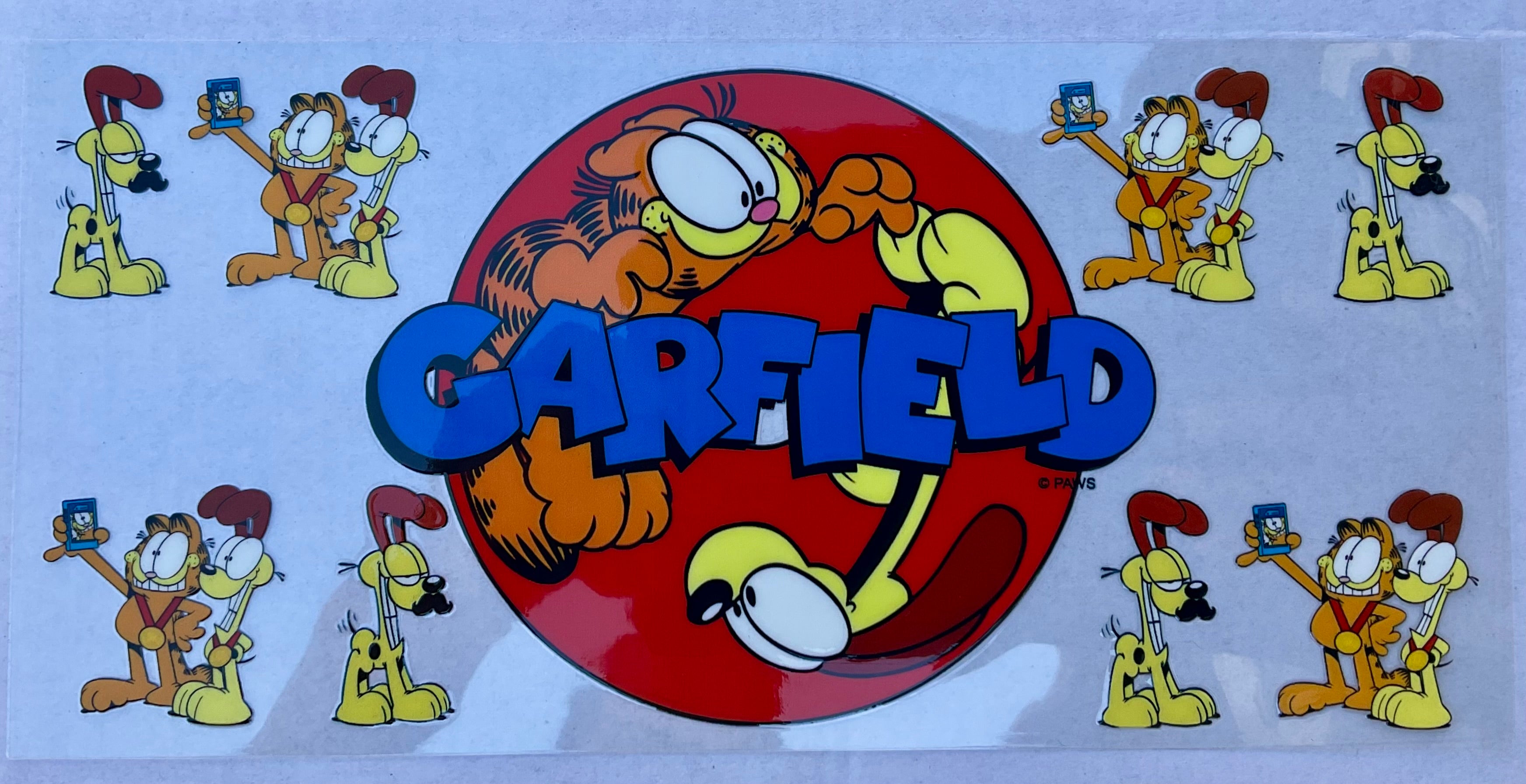 #213C Garfield