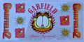 #216C Garfield
