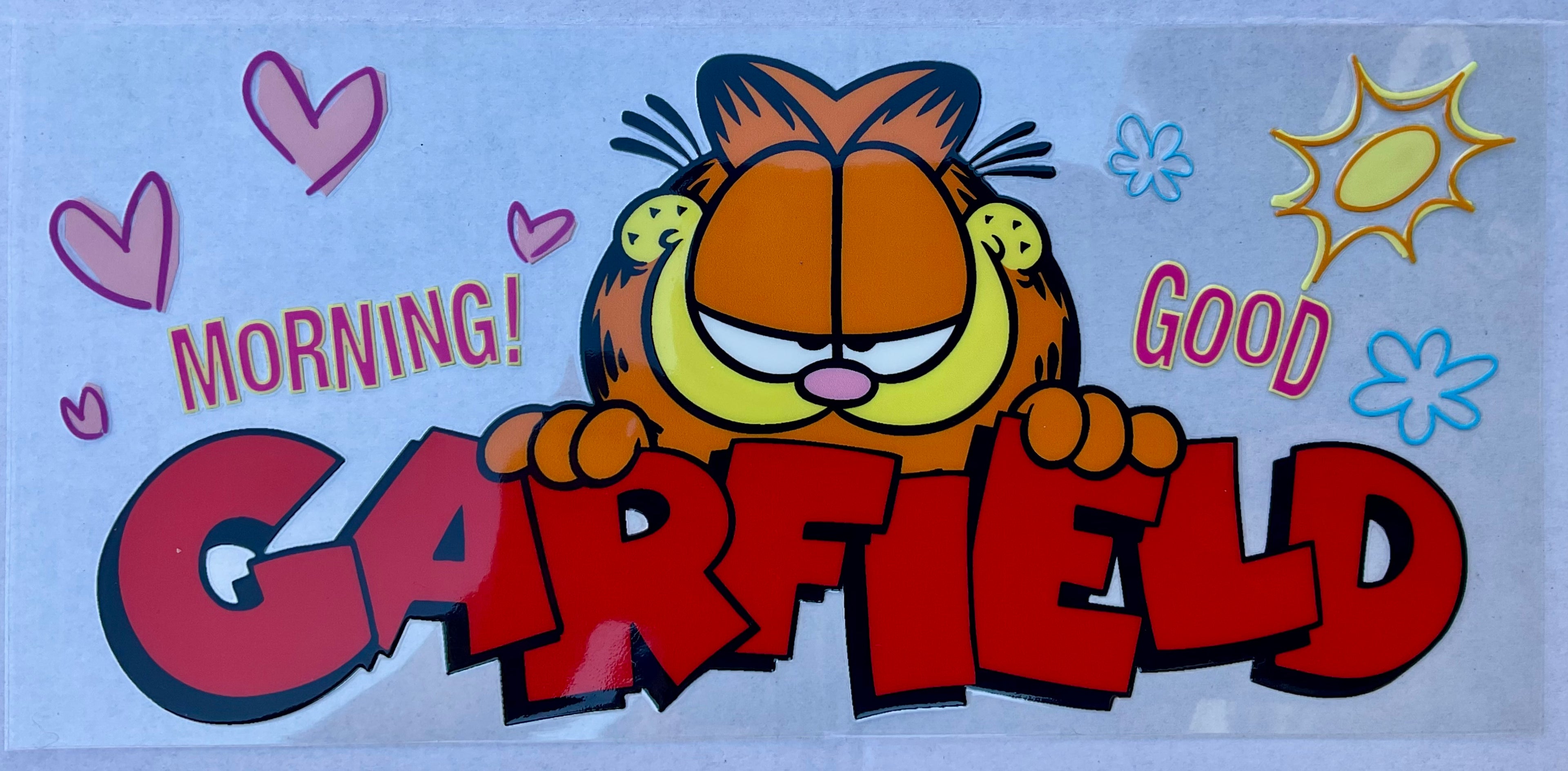 #217C Garfield