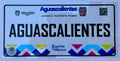 #44cu Aguascalientes