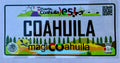 #46cu Coahuila