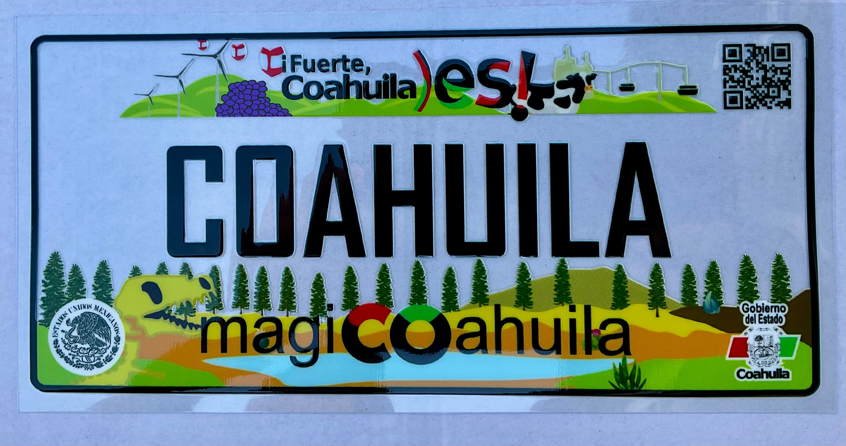 #46cu Coahuila