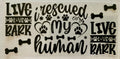 #78F Rescued My Human
