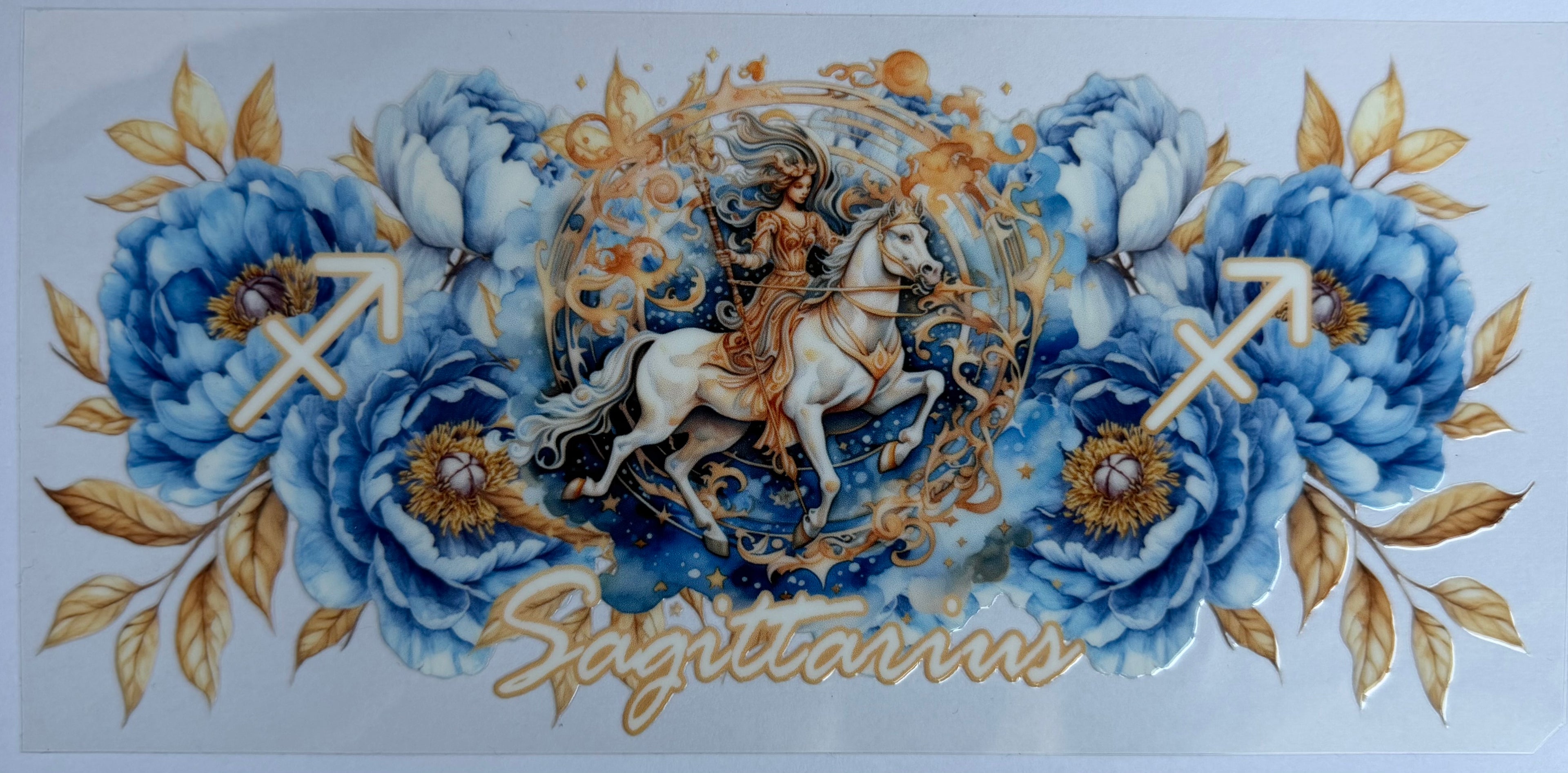 #23Z sagittarius