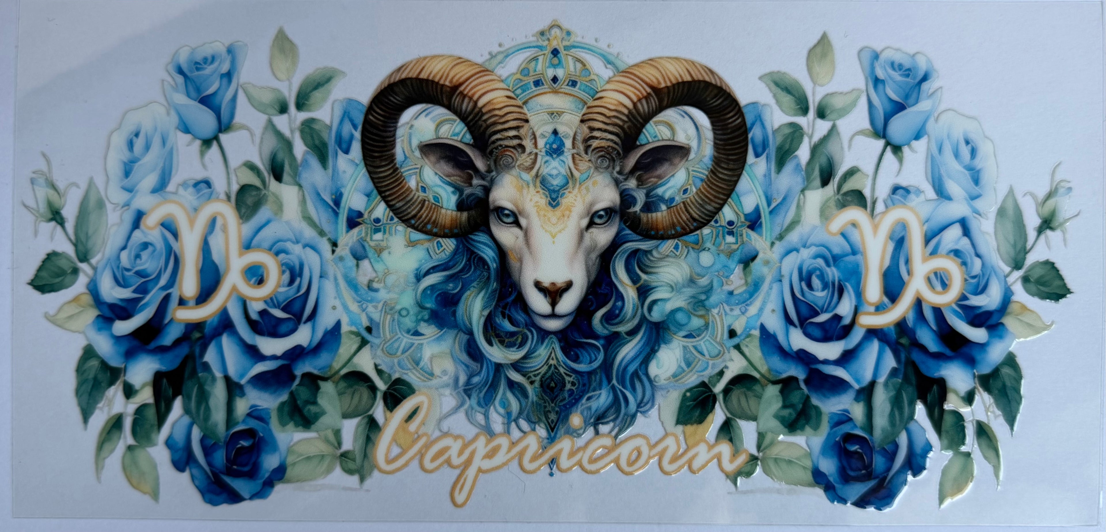 #20Z Capricorn