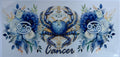 #15Z Cancer