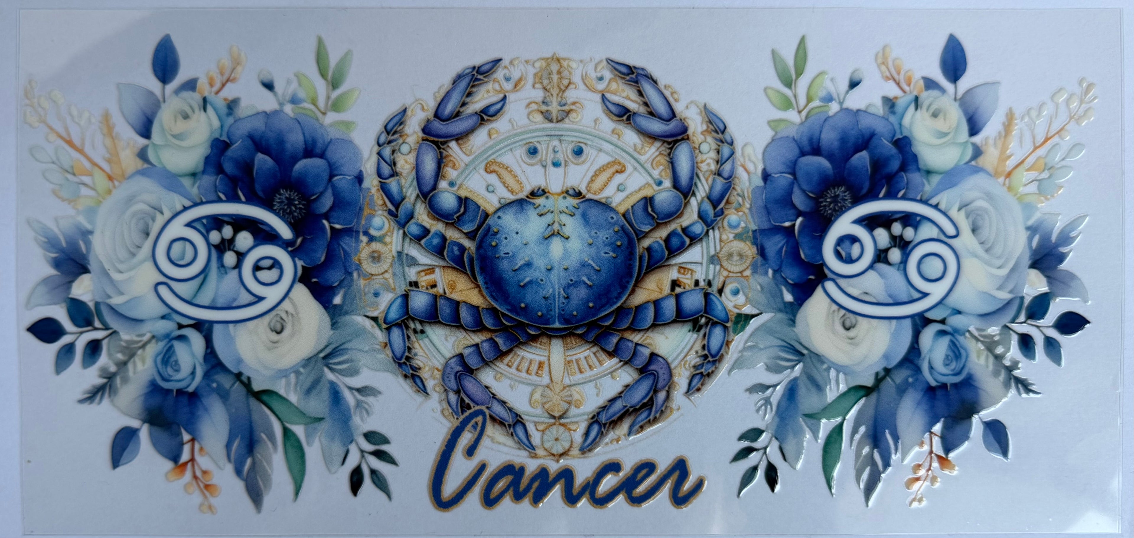 #15Z Cancer