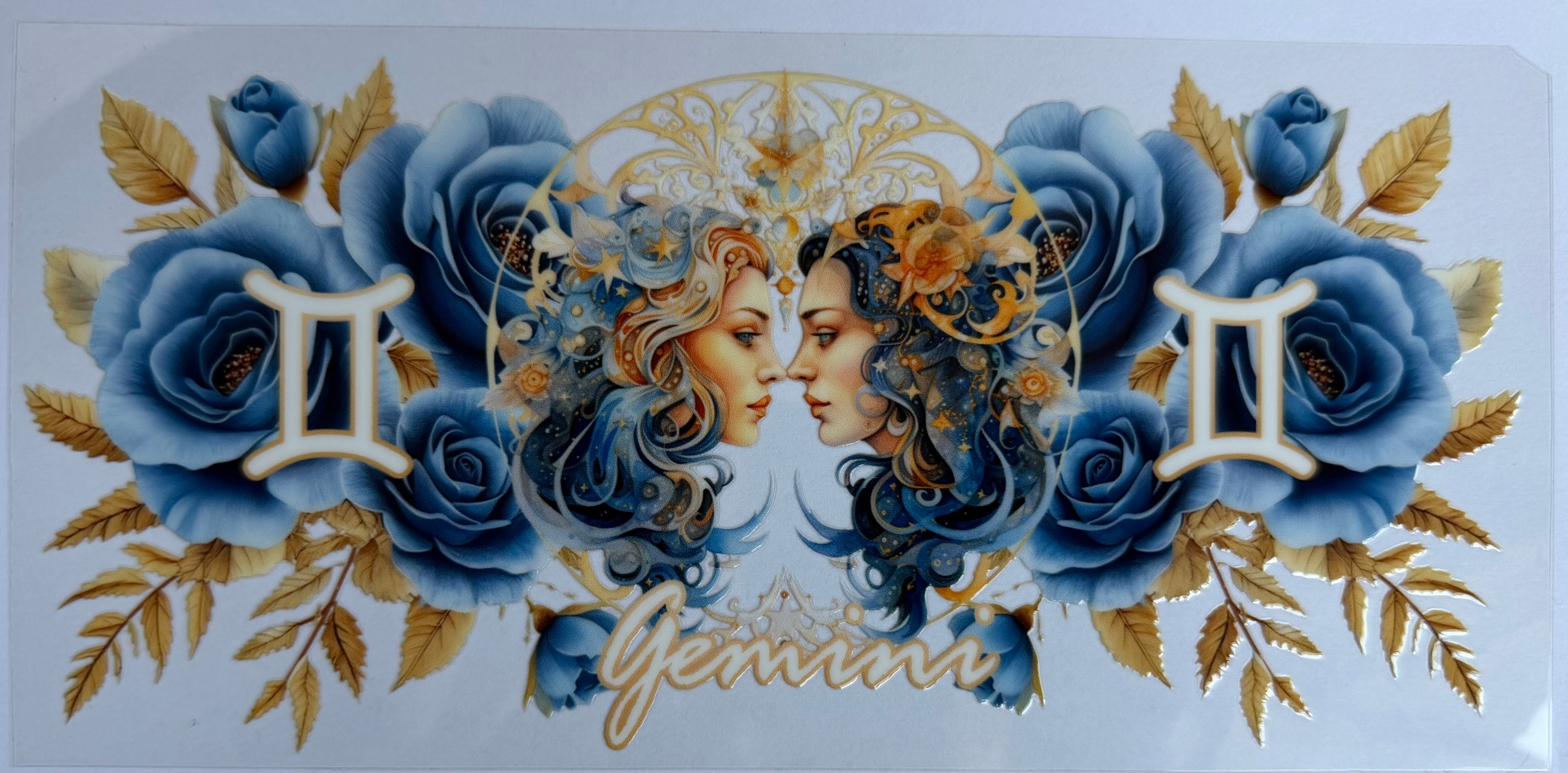 #12Z Gemini