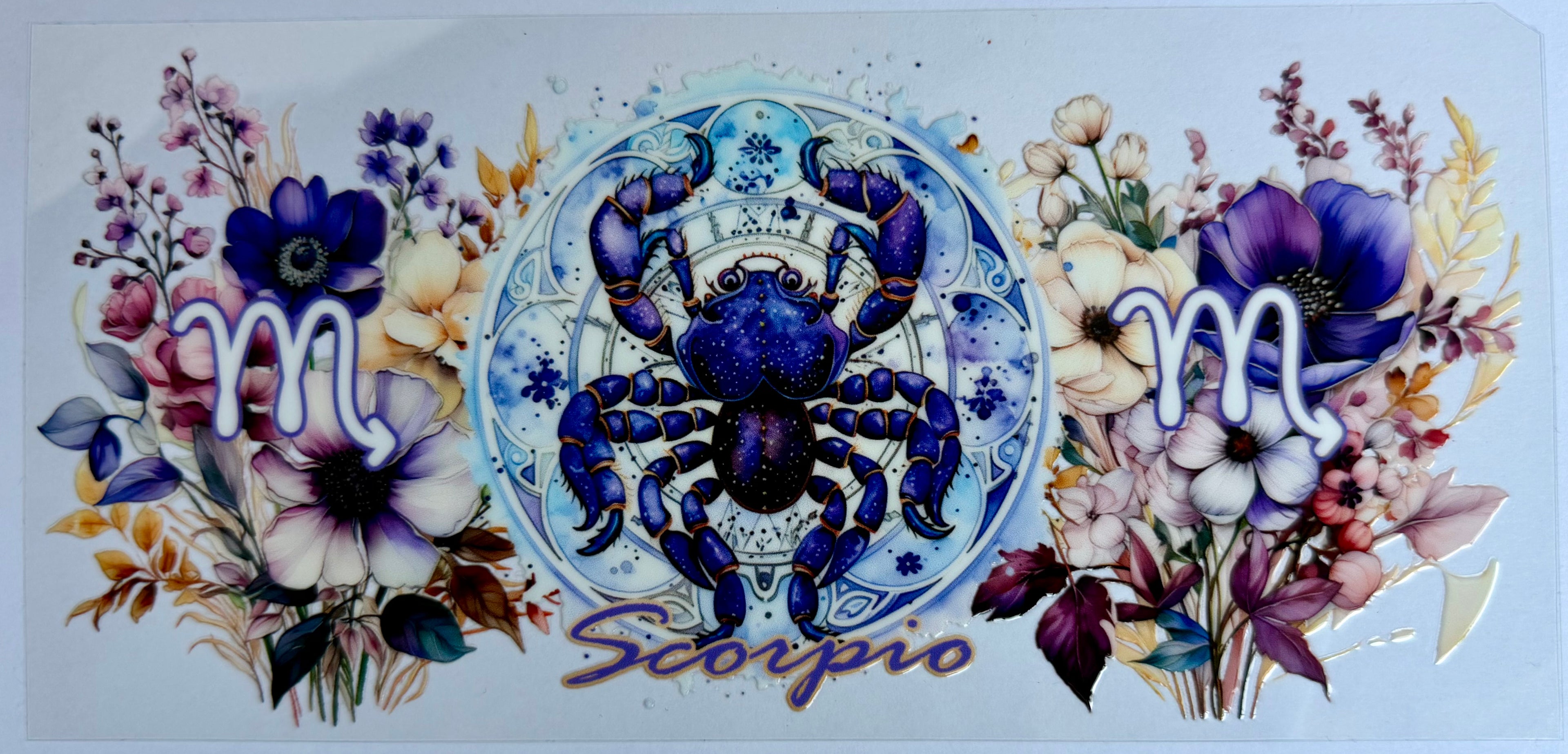 #8Z scorpio