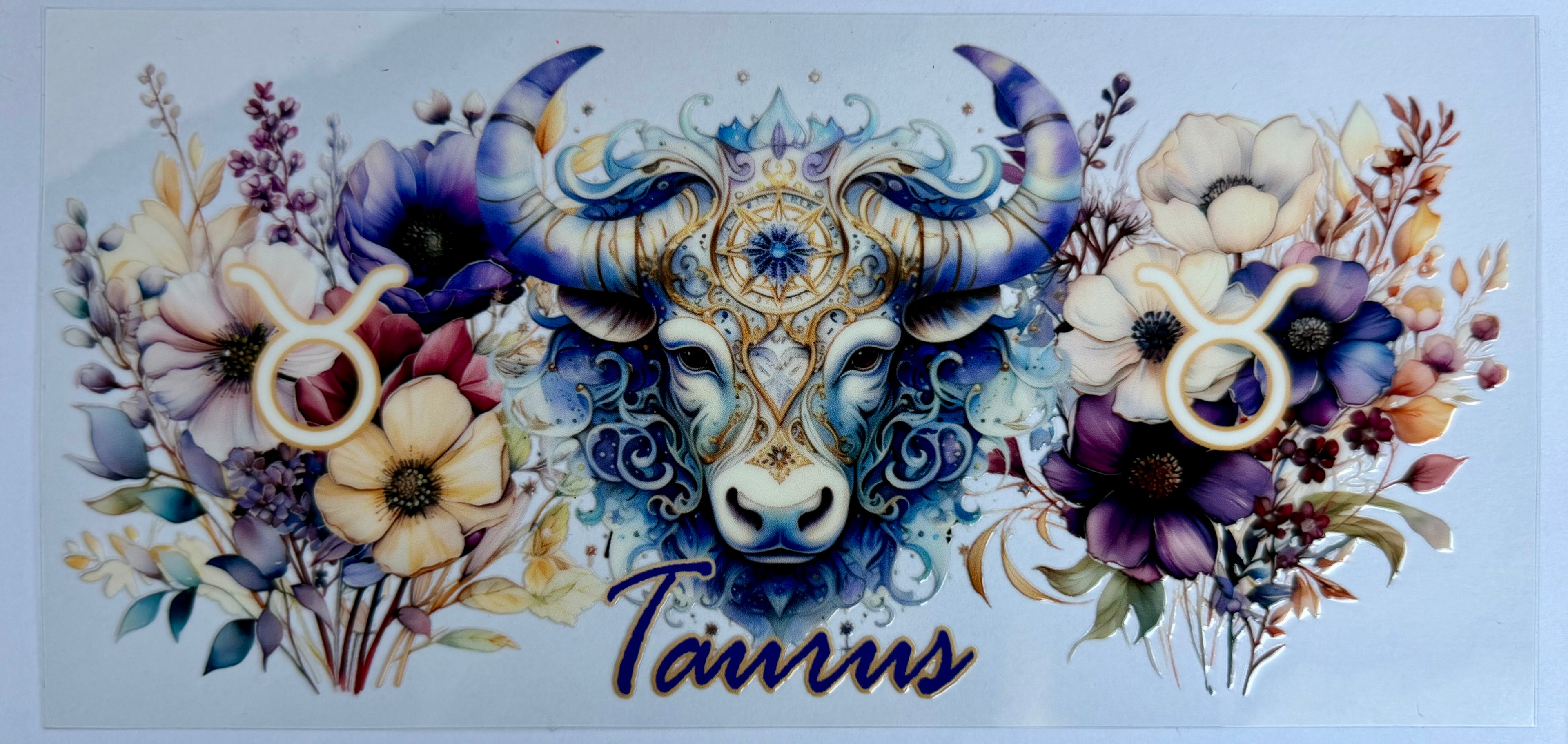 #6Z Taurus