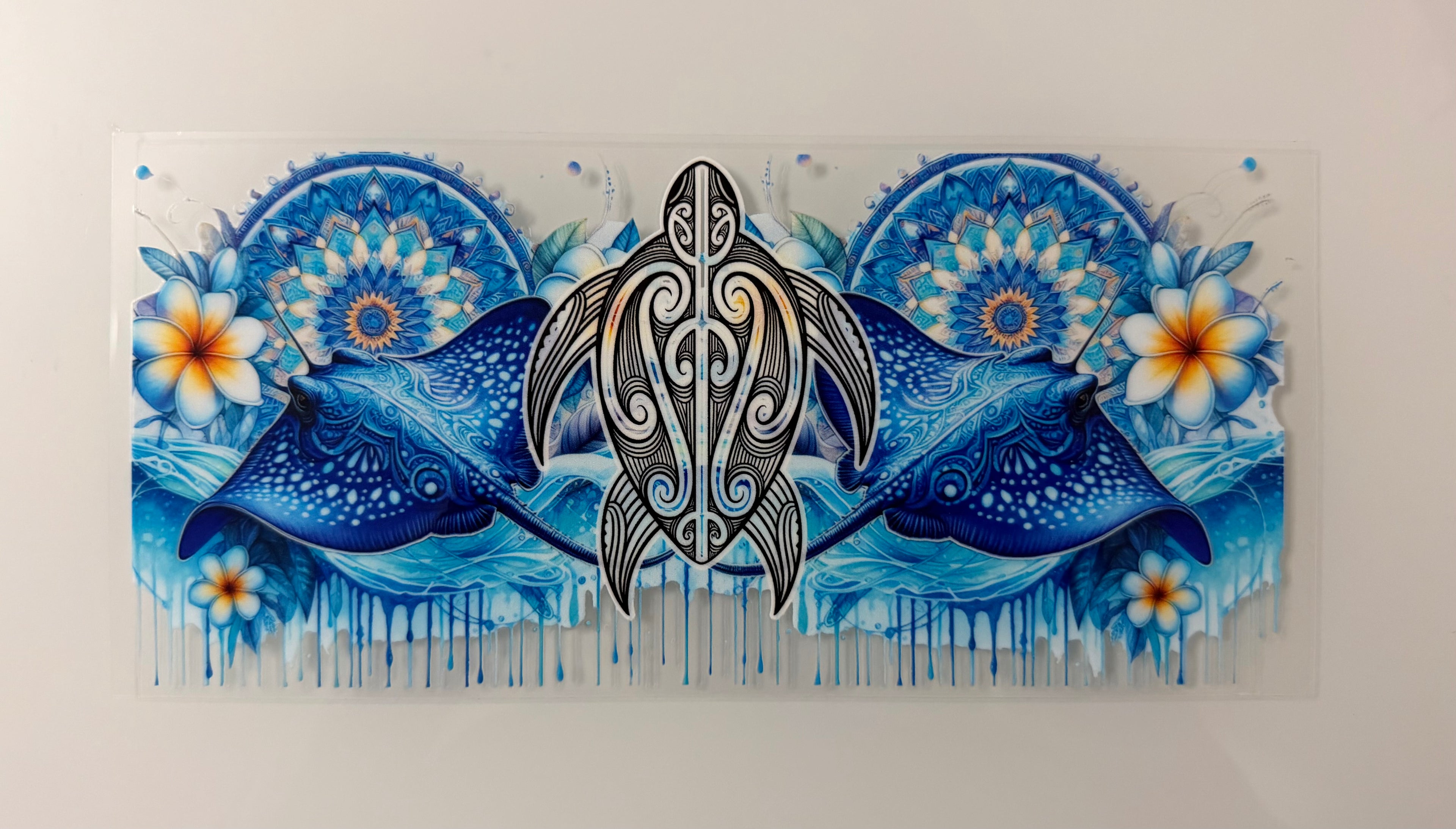 #161A Manta Rays